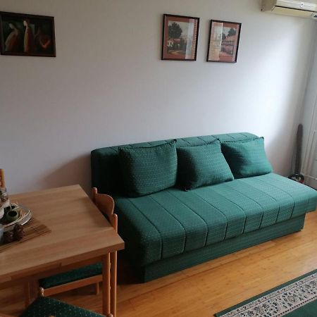 Apartament Bulevar Stan Na Dan Nowy Sad Zewnętrze zdjęcie